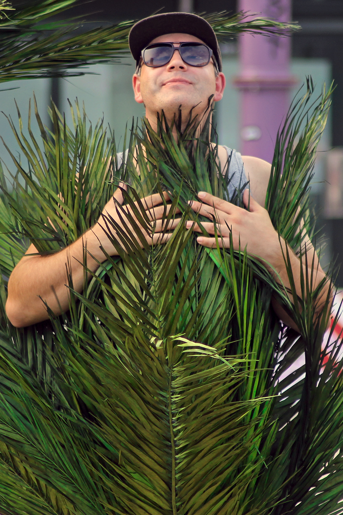 buy palm fronds