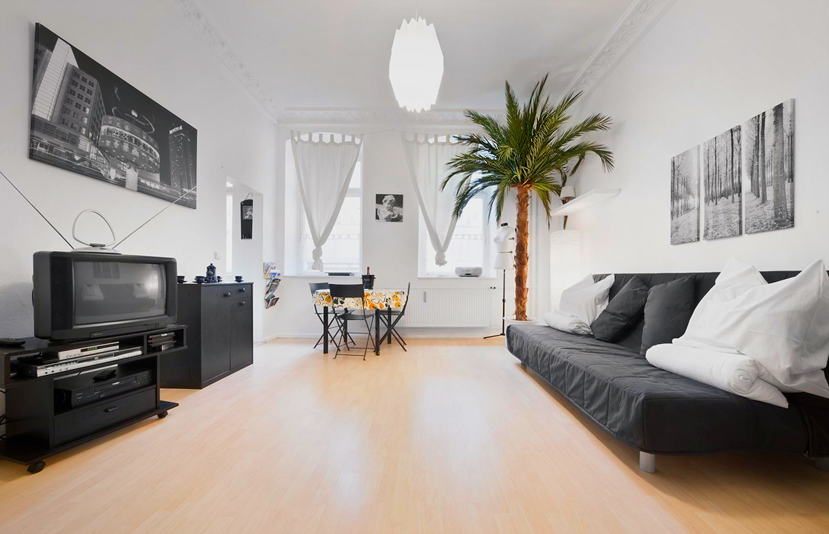 decorative palm