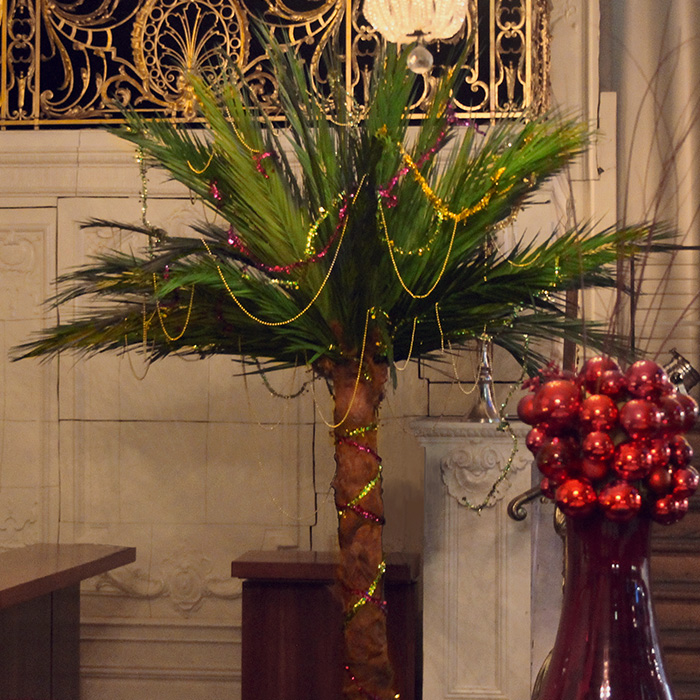 palm christmas