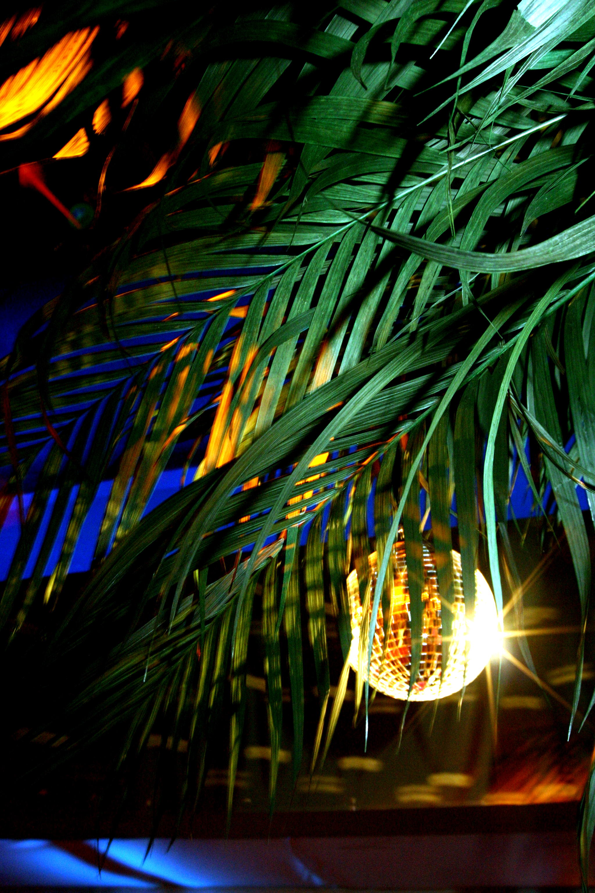 palm frond event