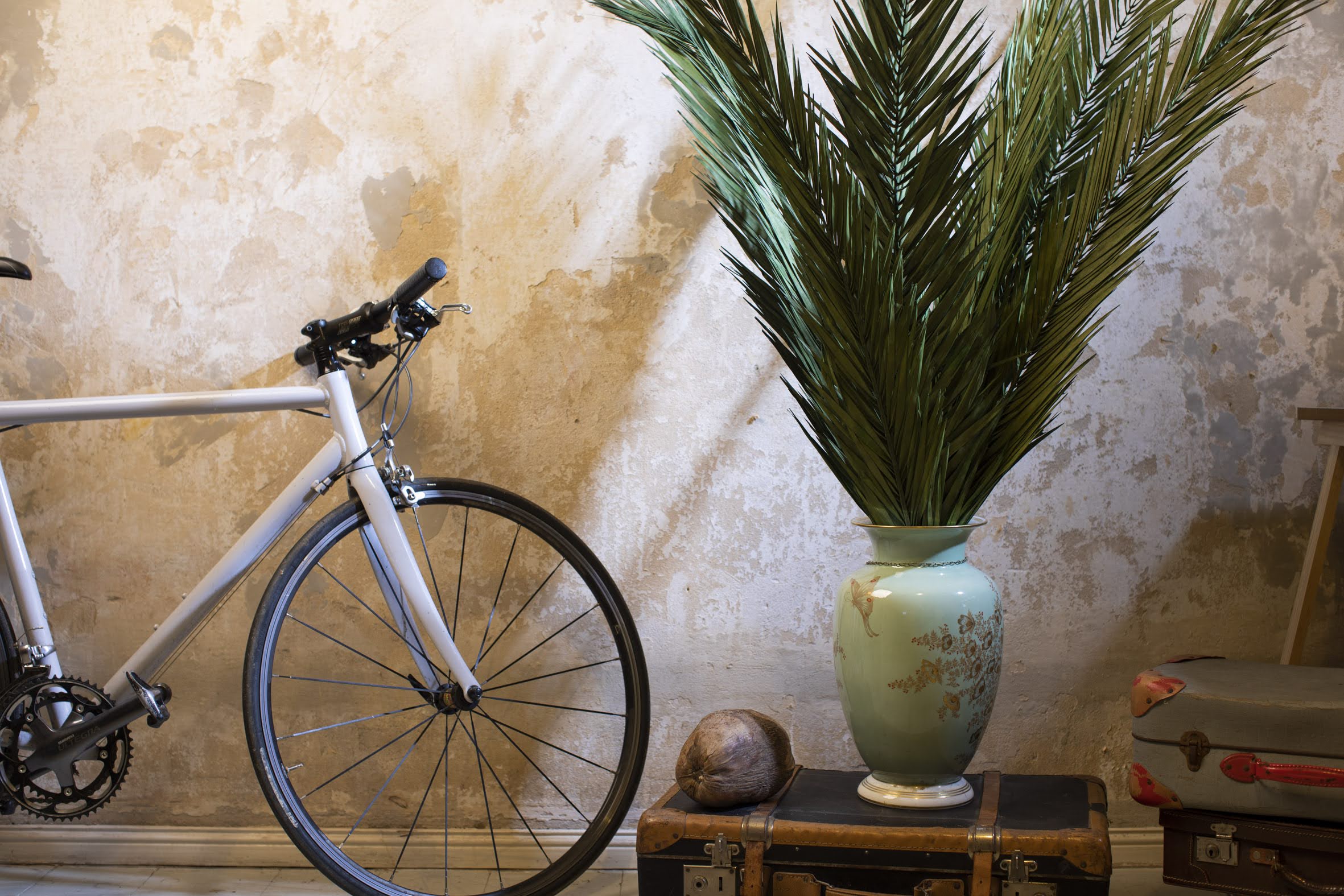 palm leaf branches