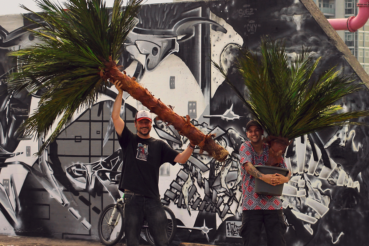 rental palms