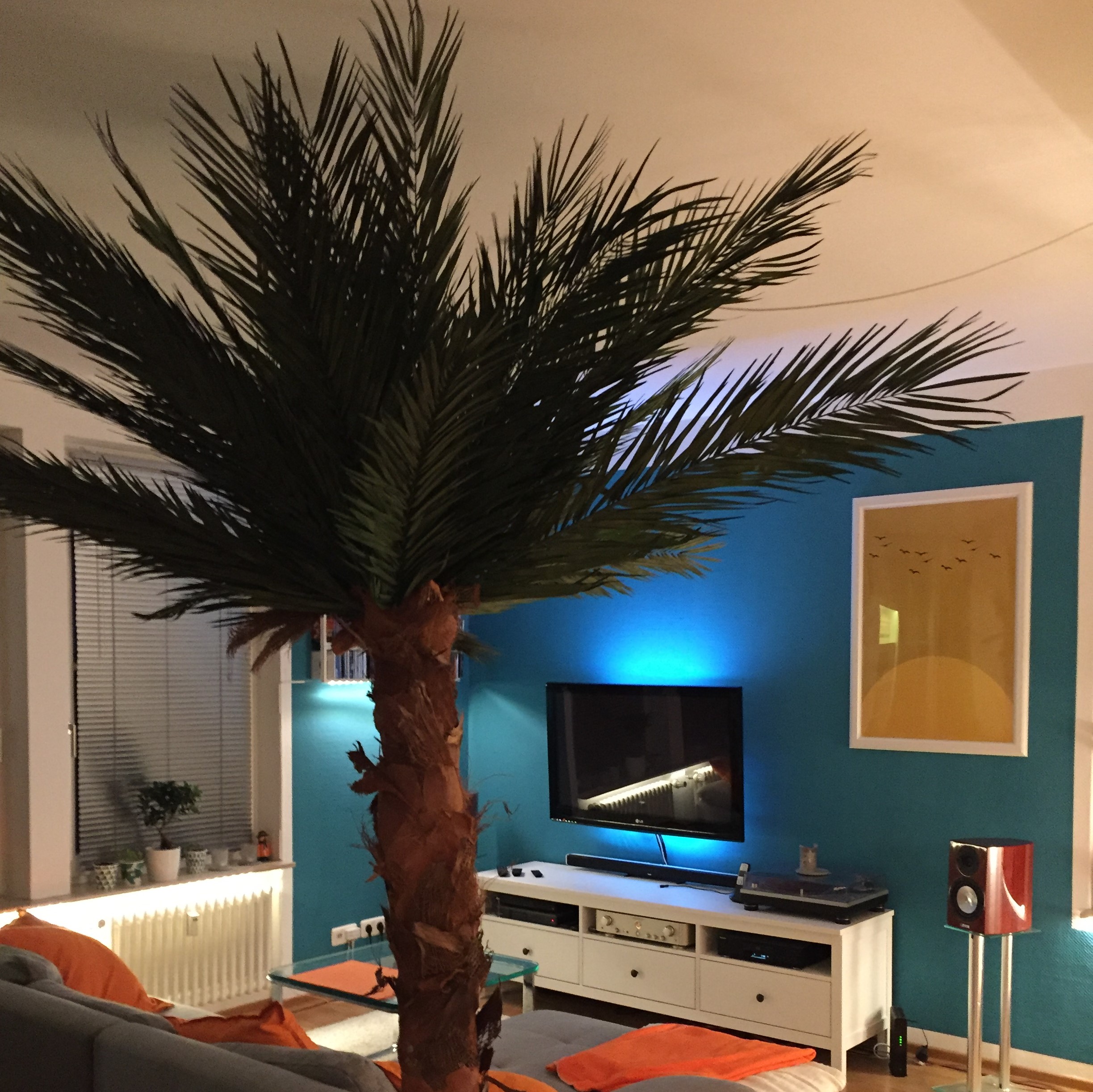 Palme Wohnzimmer