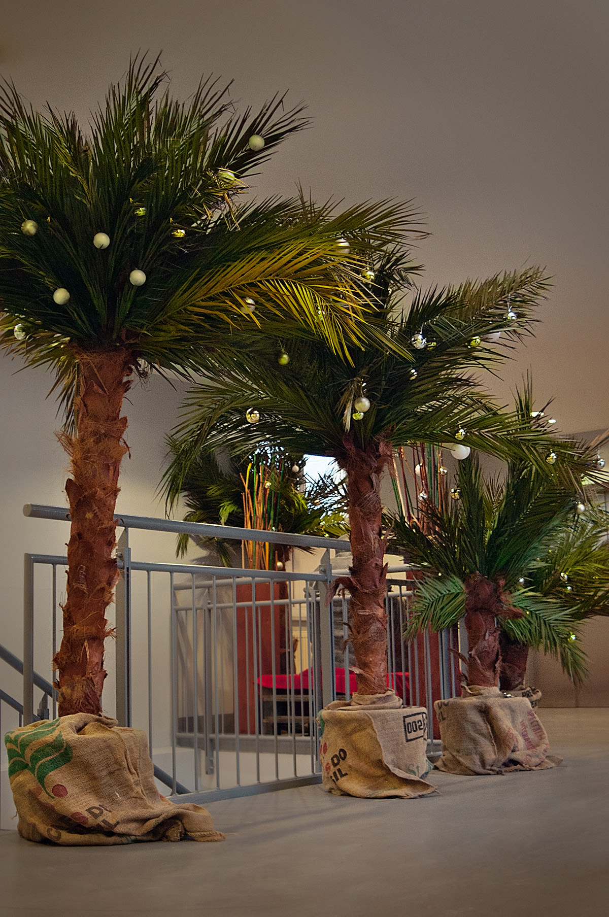 echte Palme