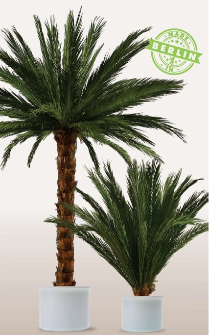 Wer ist Palmen24.de?