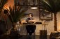 Preview: Palme Areca 2,5m