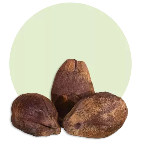 The dried coconut per piece